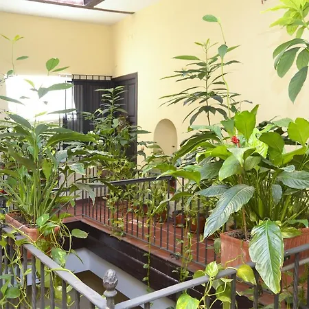 Apartamento Plaza San Marcos Sevilla